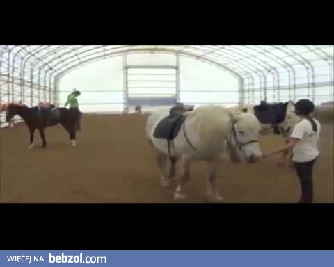 chciał się popisać 