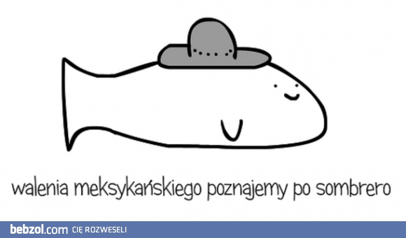 Jak poznań walenia meksykańskiego?