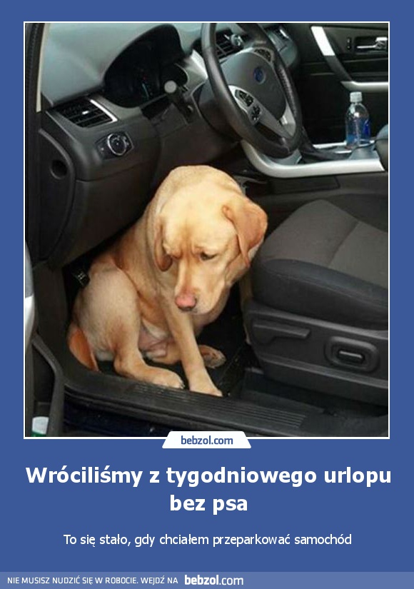 Wróciliśmy z tygodniowego urlopu bez psa