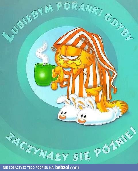 Lubiłbym poranki gdyby...