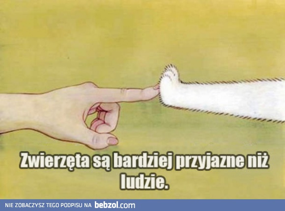 Zwierzęta są lepsze!