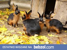 A w ferie ............. . @