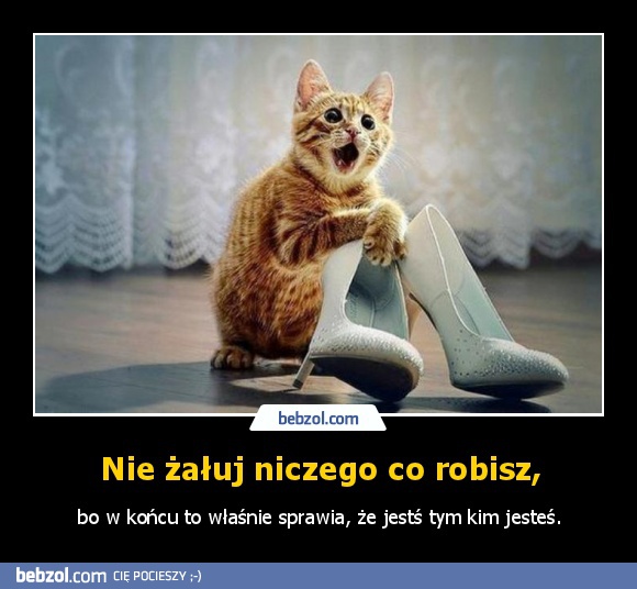Nie żałuj niczego co robisz