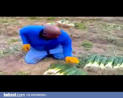 Hity Polskiego Internetu