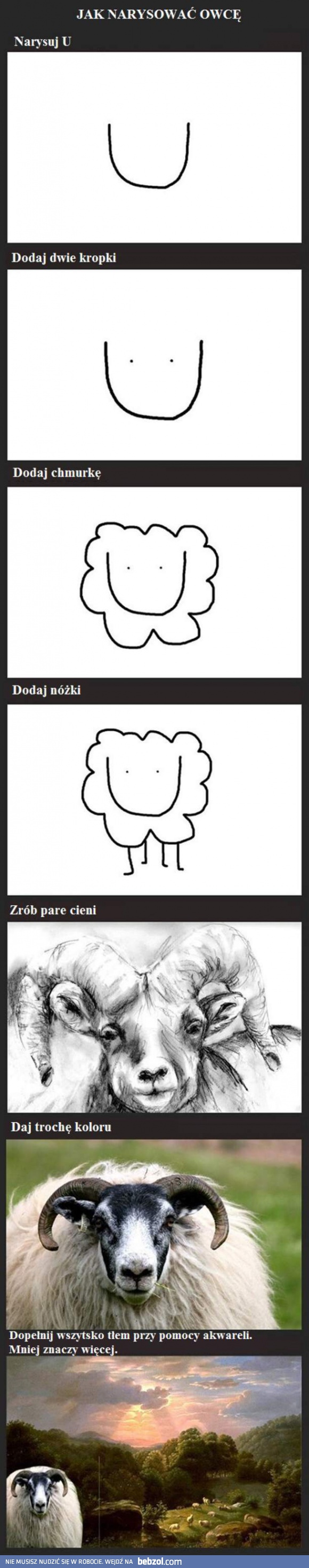 Jak narysować owcę?