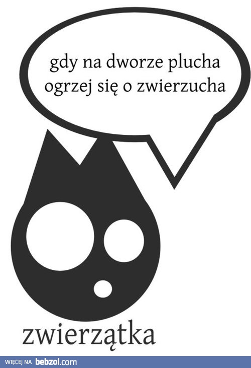 Gdy na dworze plucha