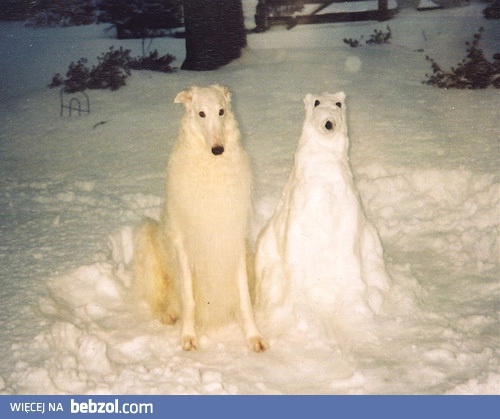 Jak dwie krople wody