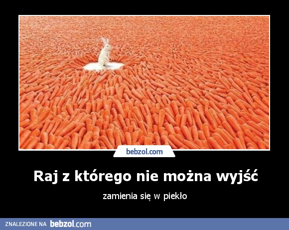 Raj z którego nie można wyjść