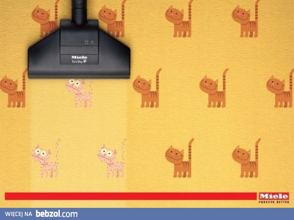 Miele - odkurzacz nowej generacji