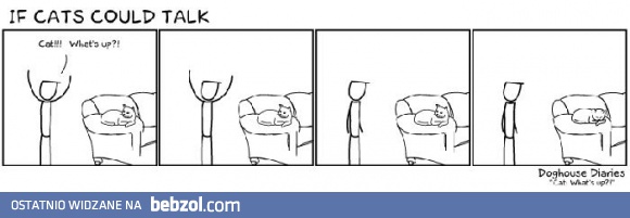 Gdyby koty mogły mówić