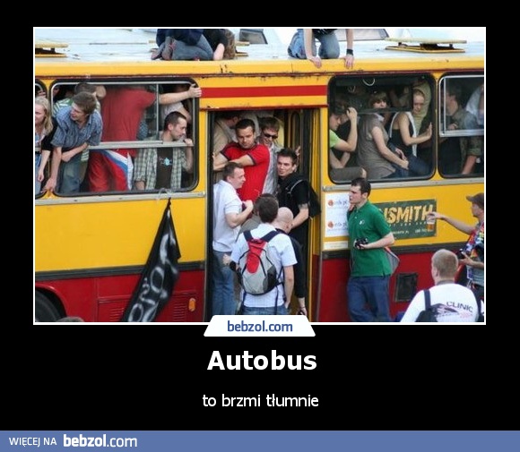 Autobus