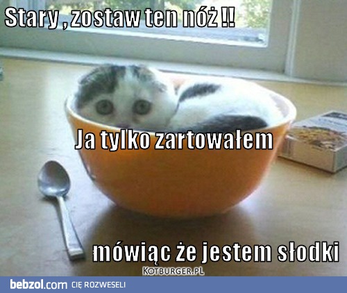 Stary, zostaw ten nóż