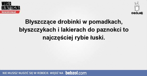 Czy wiesz, że