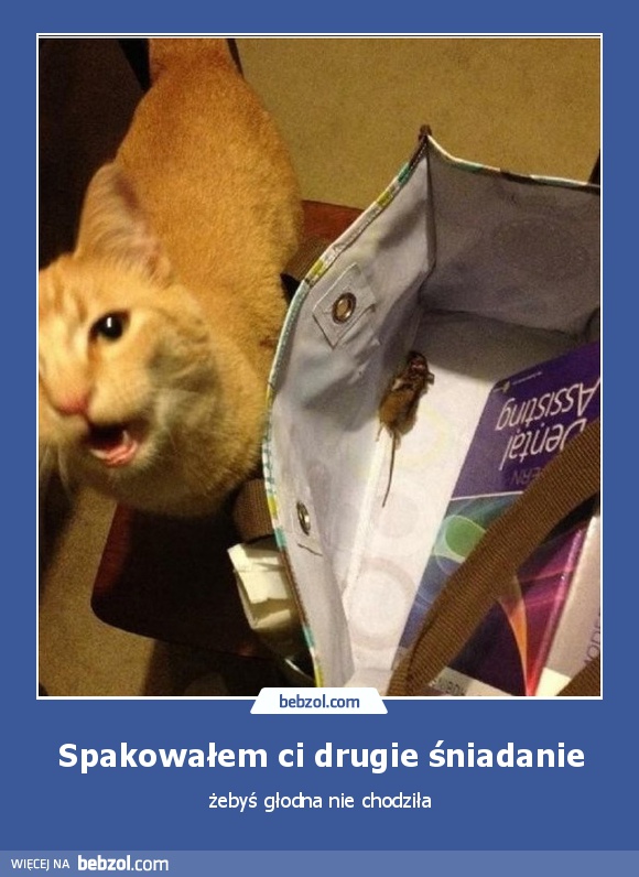 Spakowałem ci drugie śniadanie