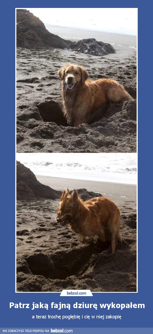 Patrz jaką fajną dziurę wykopałem