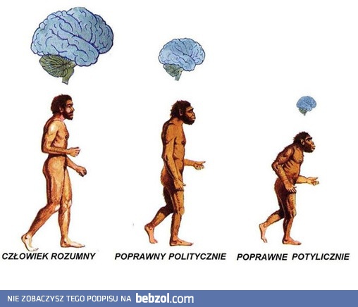 Poprawność polityczna