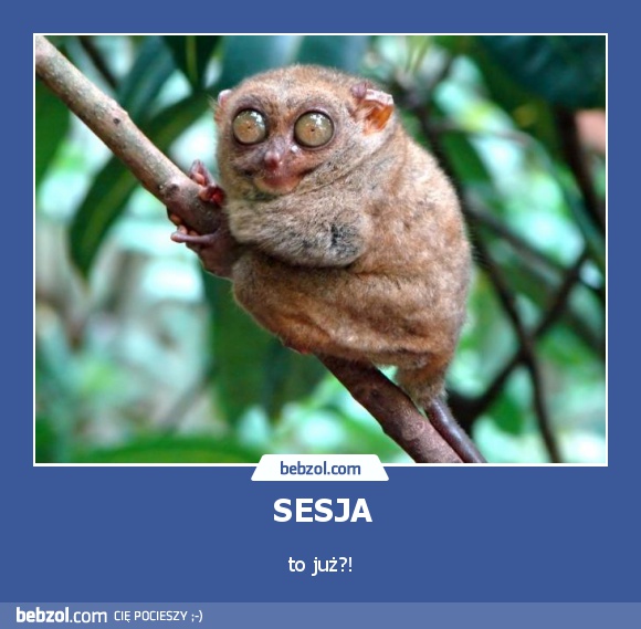 SESJA