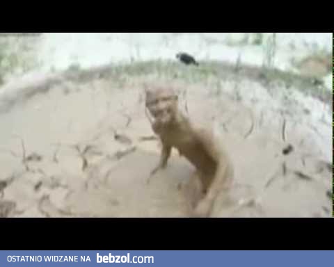 Czy brud jest groźny dla zdrowia? 