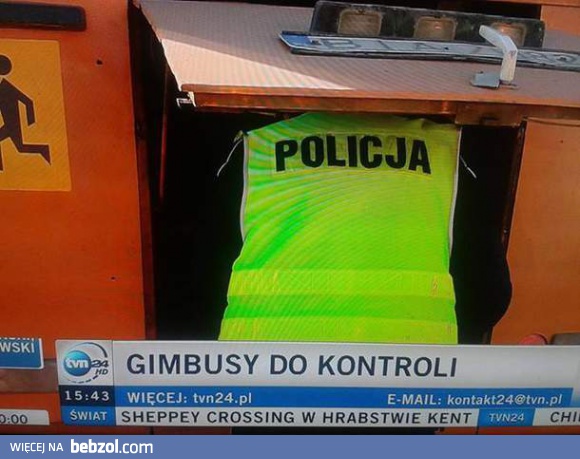 Kontrola gimbusów