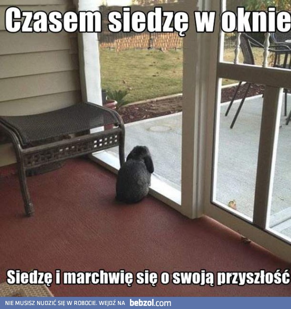 Czasem siedzę sobie w oknie