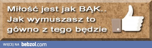 Miłość jest jak bąk