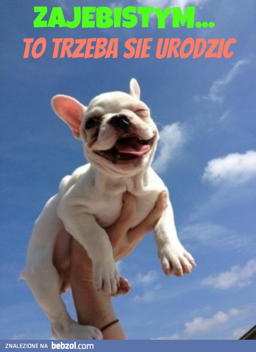 Prawdziwa zajebistość