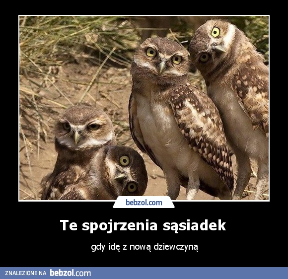 Te spojrzenia sąsiadek 