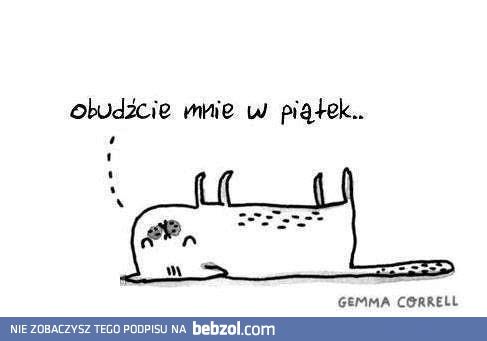 Niech ten tydzień szybko zleci!