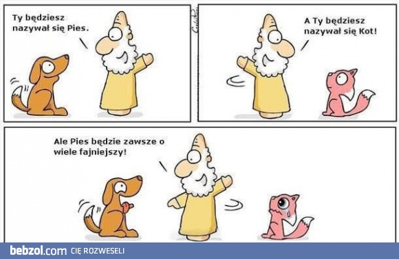 Pies vs kot