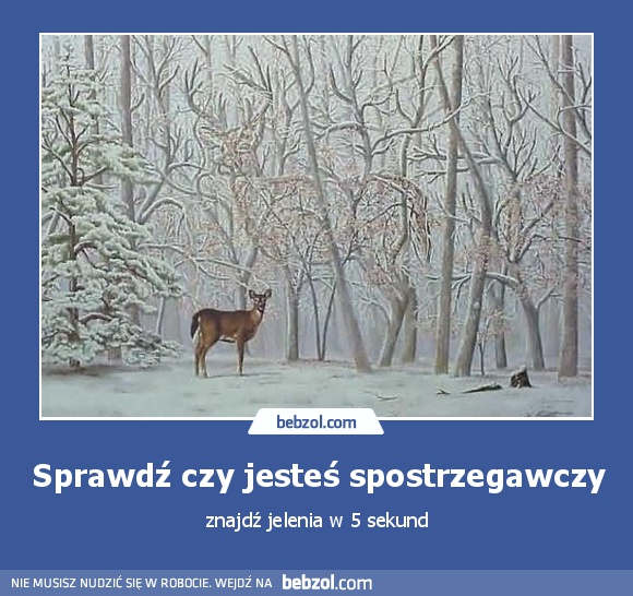 Sprawdź czy jesteś spostrzegawczy