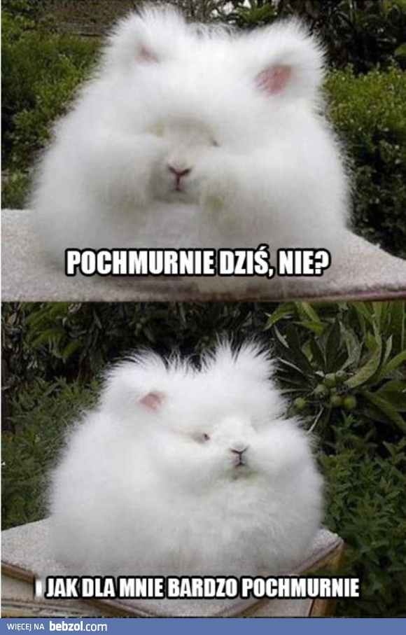 Pochmurnie dziś