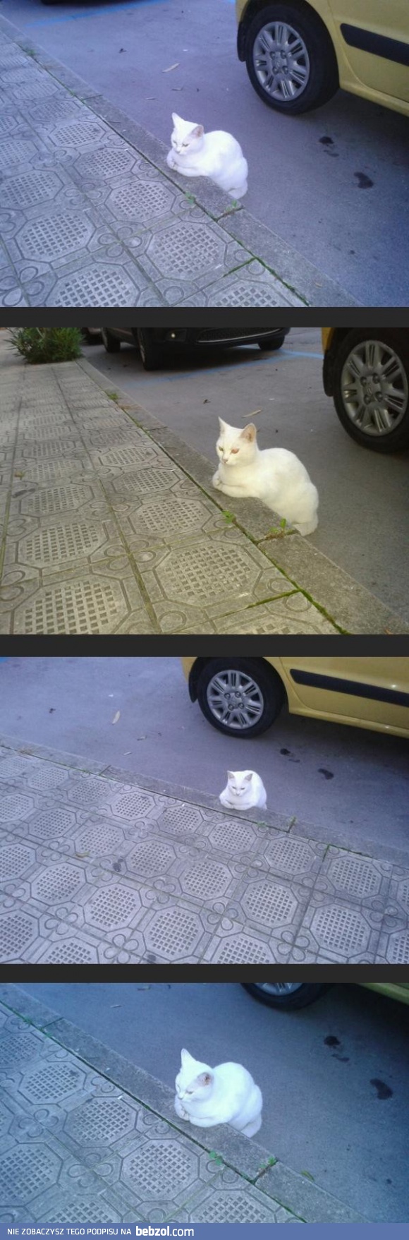 Barman, gdzie moje zamówienie?