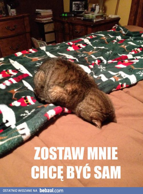 Zostaw mnie