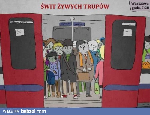 Świt żywych trupów 