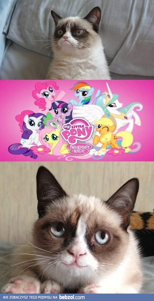 Little pony