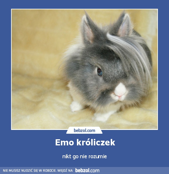 Emo króliczek