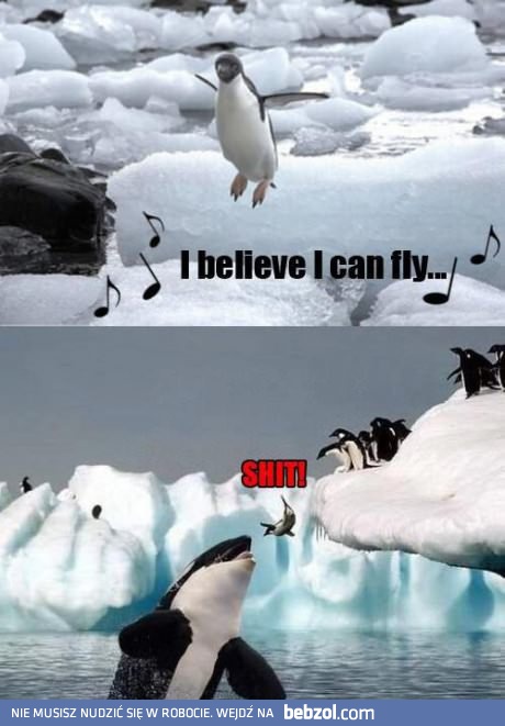 Mogę latać!