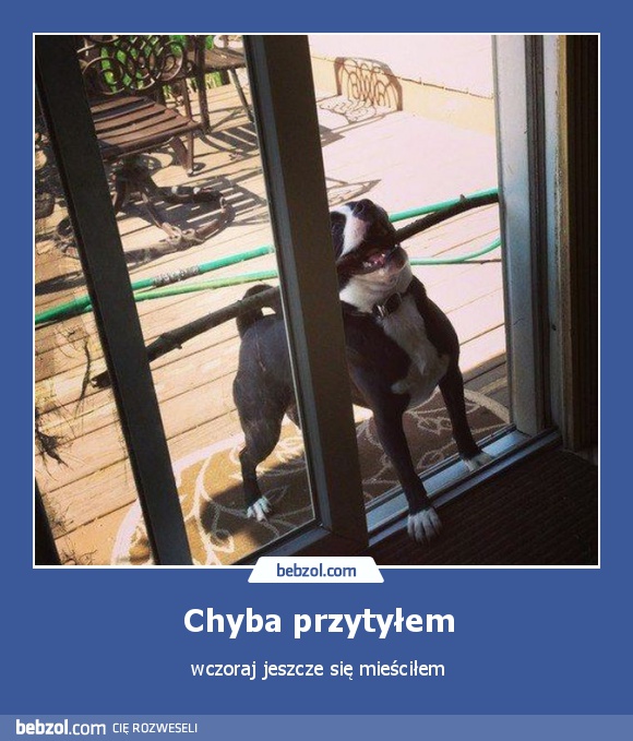 Chyba przytyłem