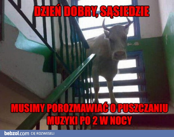 Dzień dobry sąsiedzie