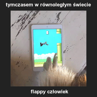 W równoległym świecie