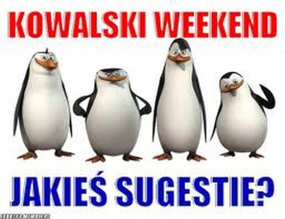 Weekend: oczekiwania kontra rzeczywistość! (20 gifów)