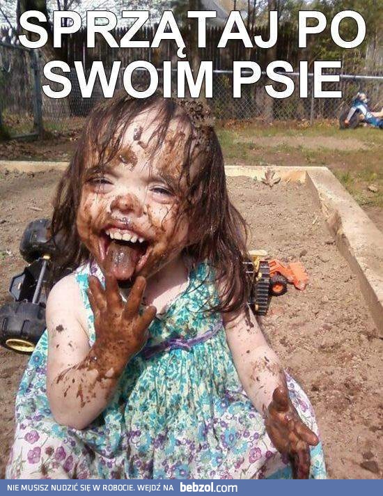 Sprzątaj po swoim psie