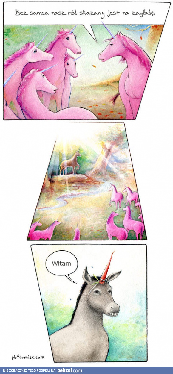 Ważne, że zaliczył!
