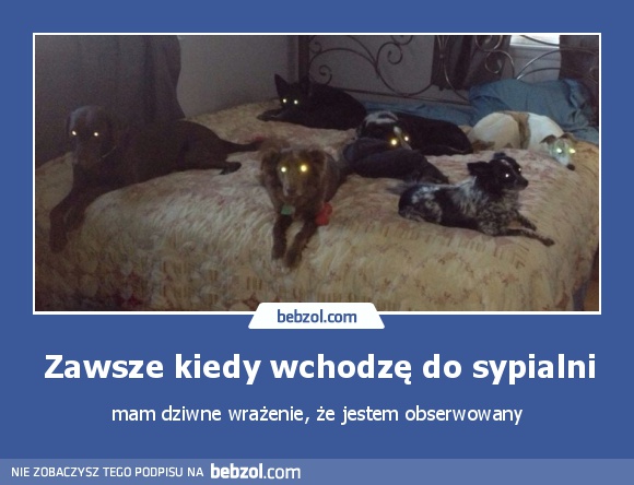 Zawsze kiedy wchodzę do sypialni