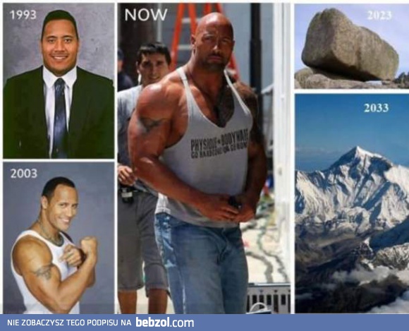The Rock