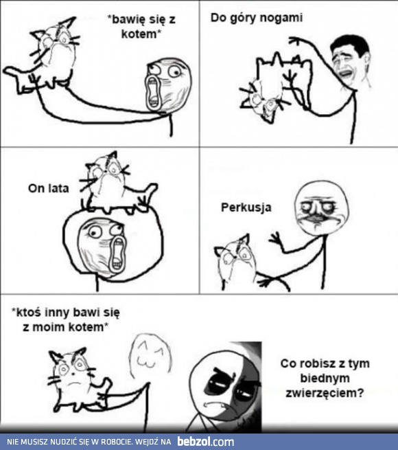 Biedny kotek