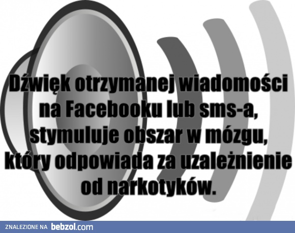 Czy wiesz, że