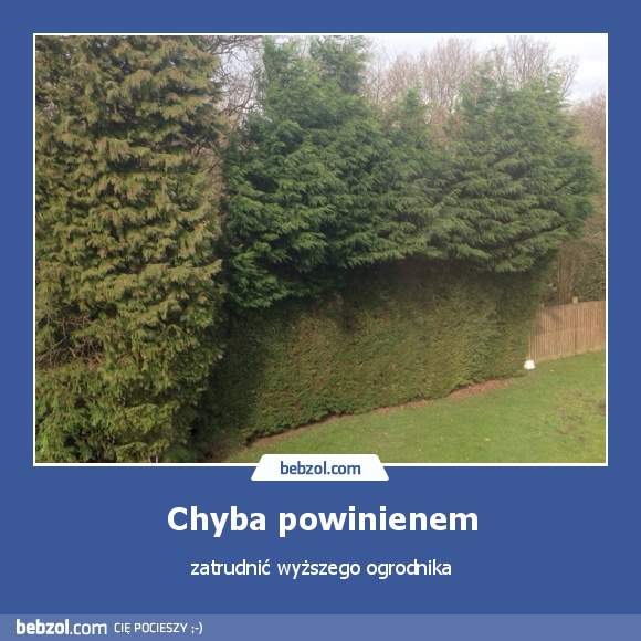 Chyba powinienem