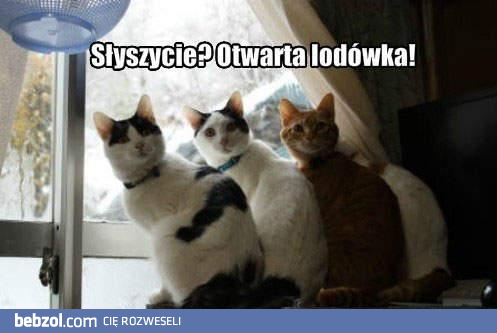 Magiczny dźwięk