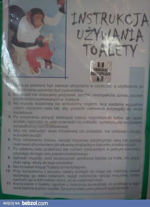 Instrukcja Używania Toalety